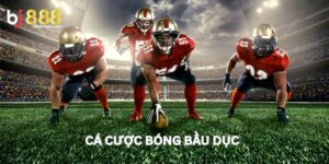 Bóng bầu dục BJ888