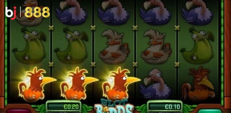 Chơi birds and animals nên chọn chơi tại nền tảng uy tín
