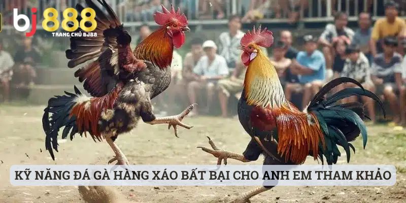 đá gà hàng xáo là gì Kỹ năng đá gà hàng xáo bất bại cho anh em tham khảo nhanh chóng