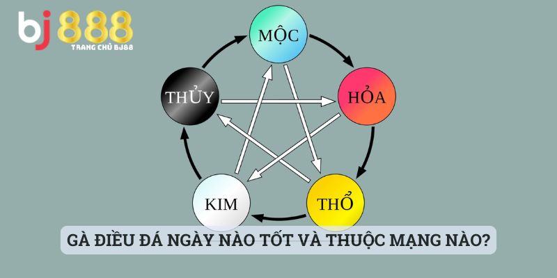 Gà điều đá ngày nào tốt và thuộc mạng nào?