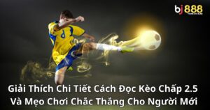 Giải Thích Chi Tiết Cách Đọc Kèo Chấp 2.5 Và Mẹo Chơi Chắc Thắng Cho Người Mới