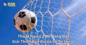 Thuật Ngữ Cá Độ Bóng Đá: Giải Thích Đầy Đủ Và Và Dễ Hiểu