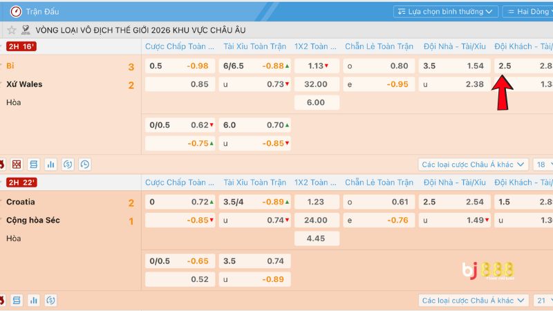 Tìm hiểu kèo chấp 2.5